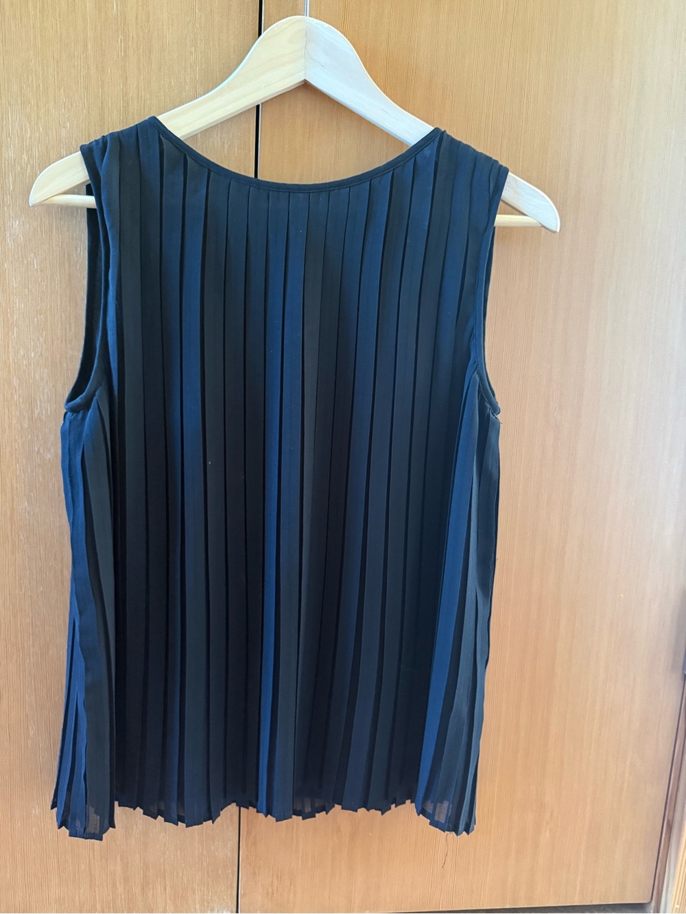 Zara Pleated Sleeveless Womens Top - Black